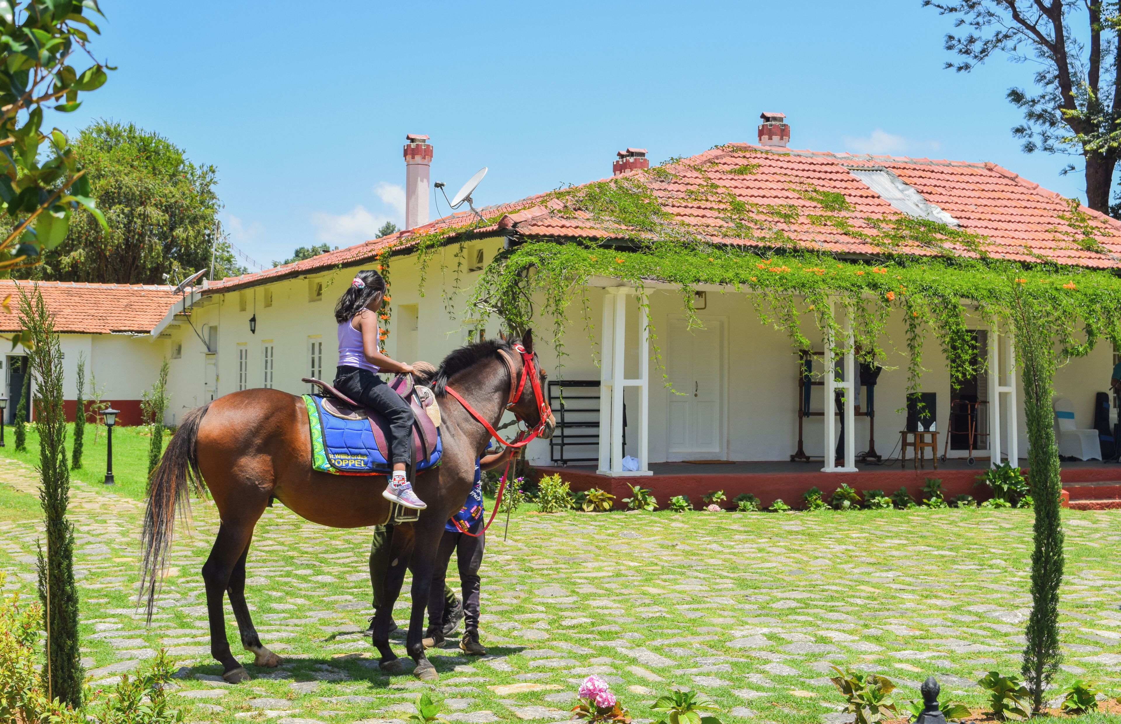 A horse-drawn carriage in front of a building with a tiled roof and a garden.