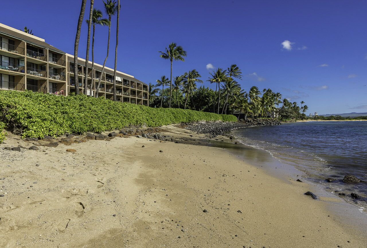 A beachfront hotel with multiple balconies, palm trees, and a clear blue sky.