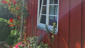 A red building with a white window, surrounded by greenery and flowers. - Renovierte Scheune mit Historischem Charme (Garz/Rügen)