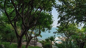 Un paseo marítimo con un banco de madera, rodeado de vegetación exuberante y que conduce a una playa.