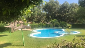 A circular pool with a surrounding grassy area, trees, and a thatched-roof structure.