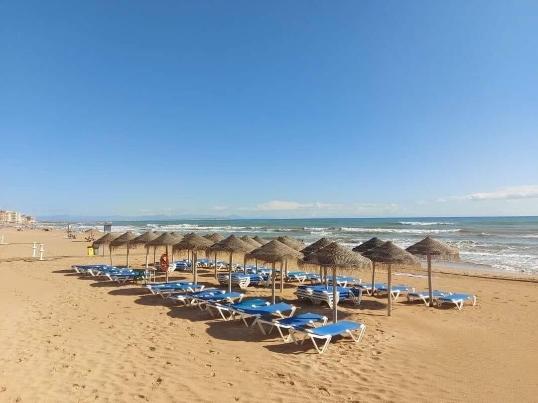 A beach with rows of blue lounge chairs and thatched umbrellas.