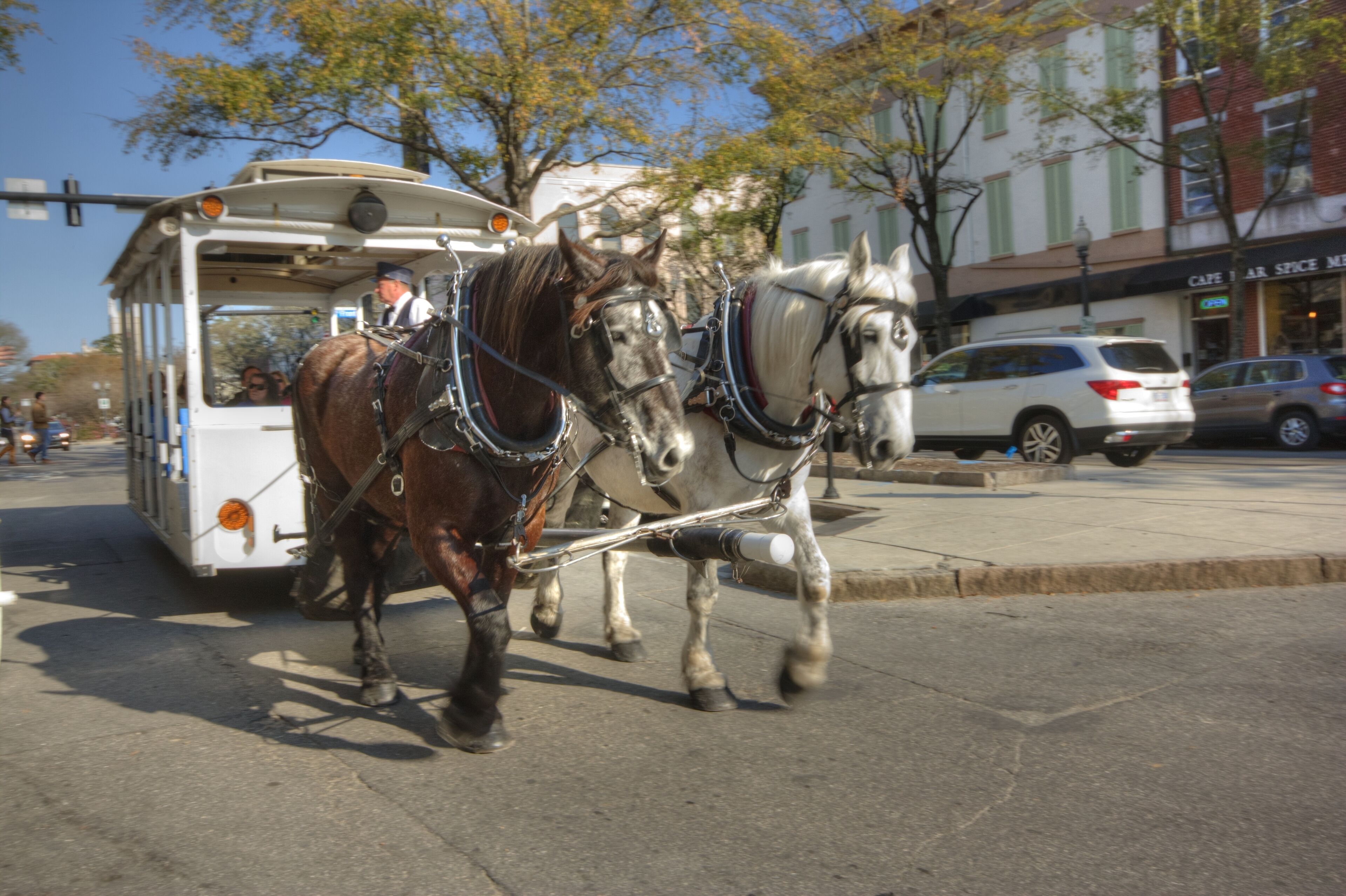 A horse-drawn carriage on a city street.