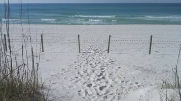 Playa en los alrededores