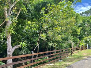 المنطقة المحيطة بالمنشأة