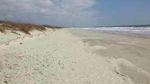 En sandstrand med sanddyner och vågor som slår in mot stranden.