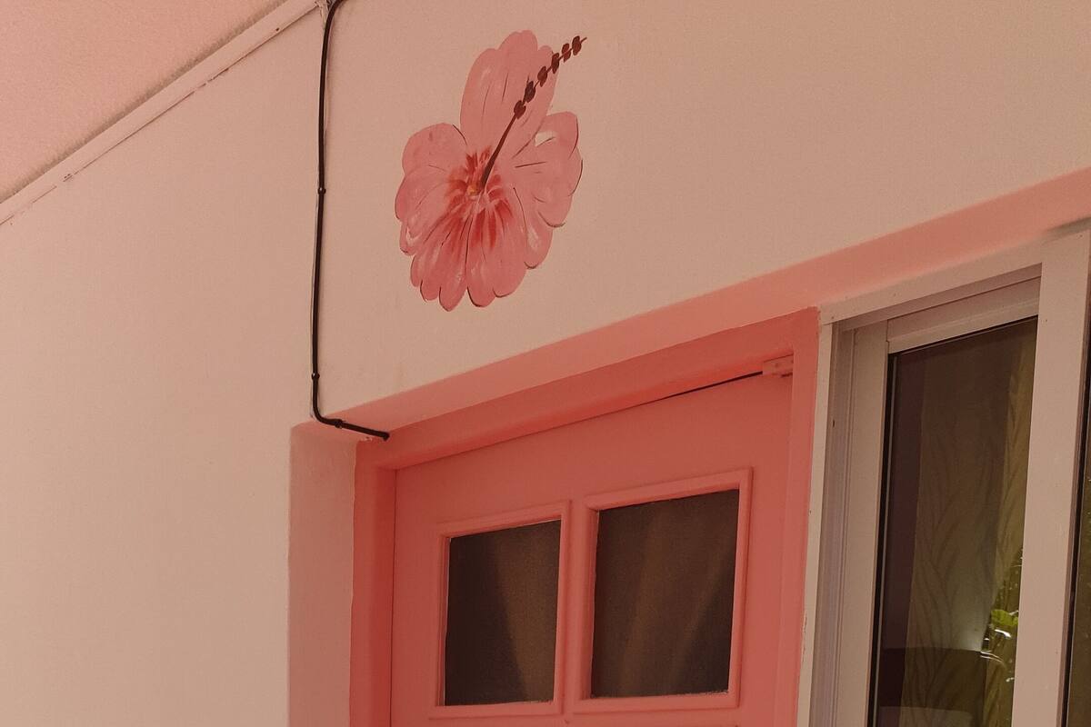 Una puerta rosa con un ventanal a la derecha, el número '2' encima de la puerta, y un adhesivo de flor en la pared sobre la puerta.