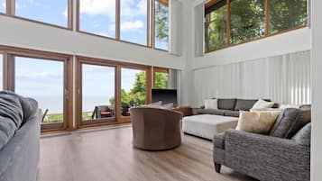 Una televisión, una chimenea