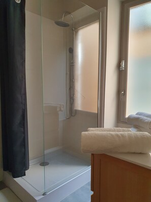 Shower, hair dryer, towels