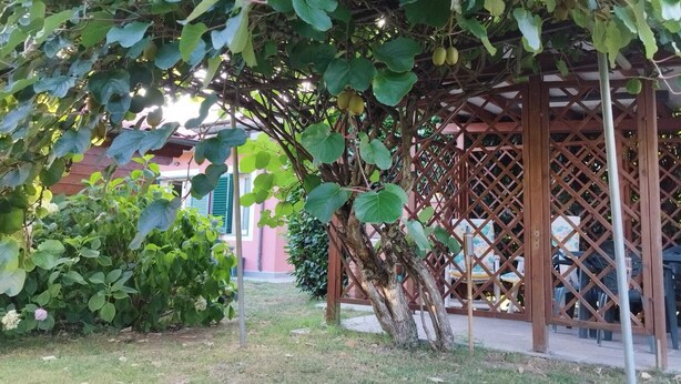 A garden with a pergola structure, a small tree, and a pink building in the background. - La Casina (Barga)