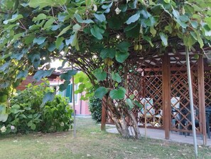 A garden with a pergola structure, a small tree, and a pink building in the background.