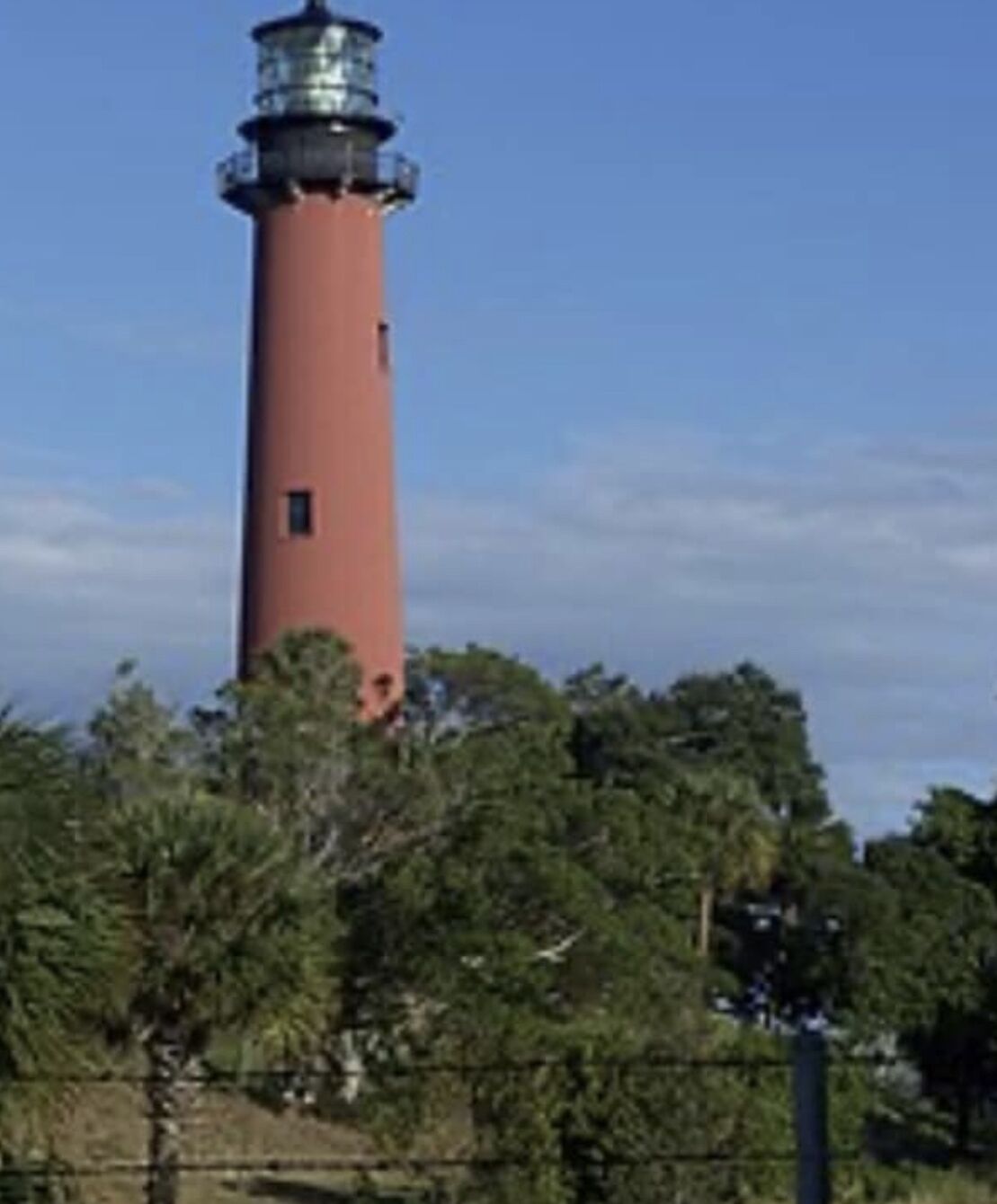 Een hoge, rode vuurtoren met een glazen lantaarnkamer bovenop, omringd door groen.