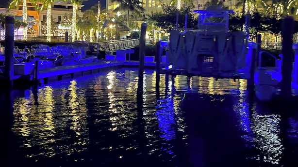 Een jachthaven bij nacht, met aangemeerde boten, palmbomen en verlichte gebouwen op de achtergrond.