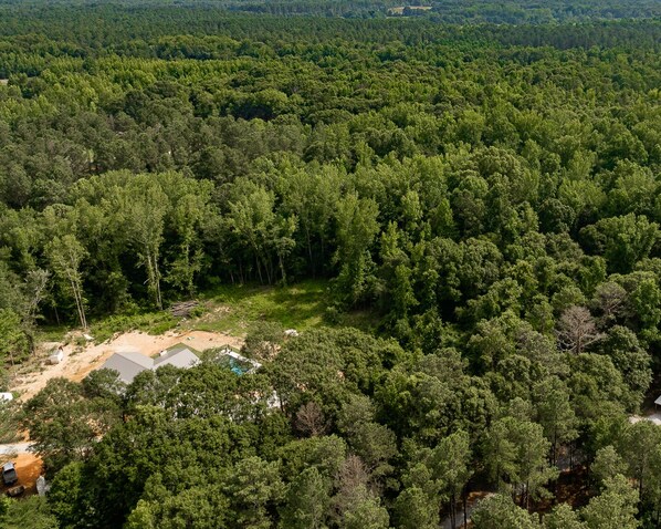 A forested area with a small clearing and a building with a sloped roof.
