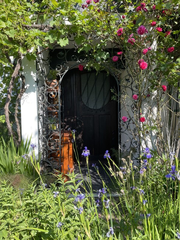 Detalle del exterior