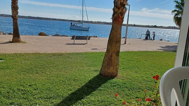 Une vue d’une plage avec un voilier, des palmiers et un banc.