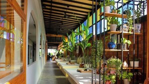 A corridor with wooden flooring, a bench, and potted plants on shelves. - JALMIN Samui Hotel (Koh Samui)