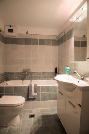 Hair dryer, towels, toilet paper
