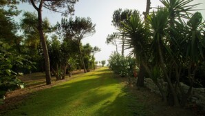 A pathway flanked by trees and a stone wall, leading to a distant view.