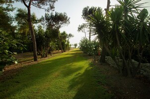 En la playa, arena blanca