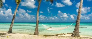 Una hamaca entre palmeras en una playa con agua turquesa cristalina.
