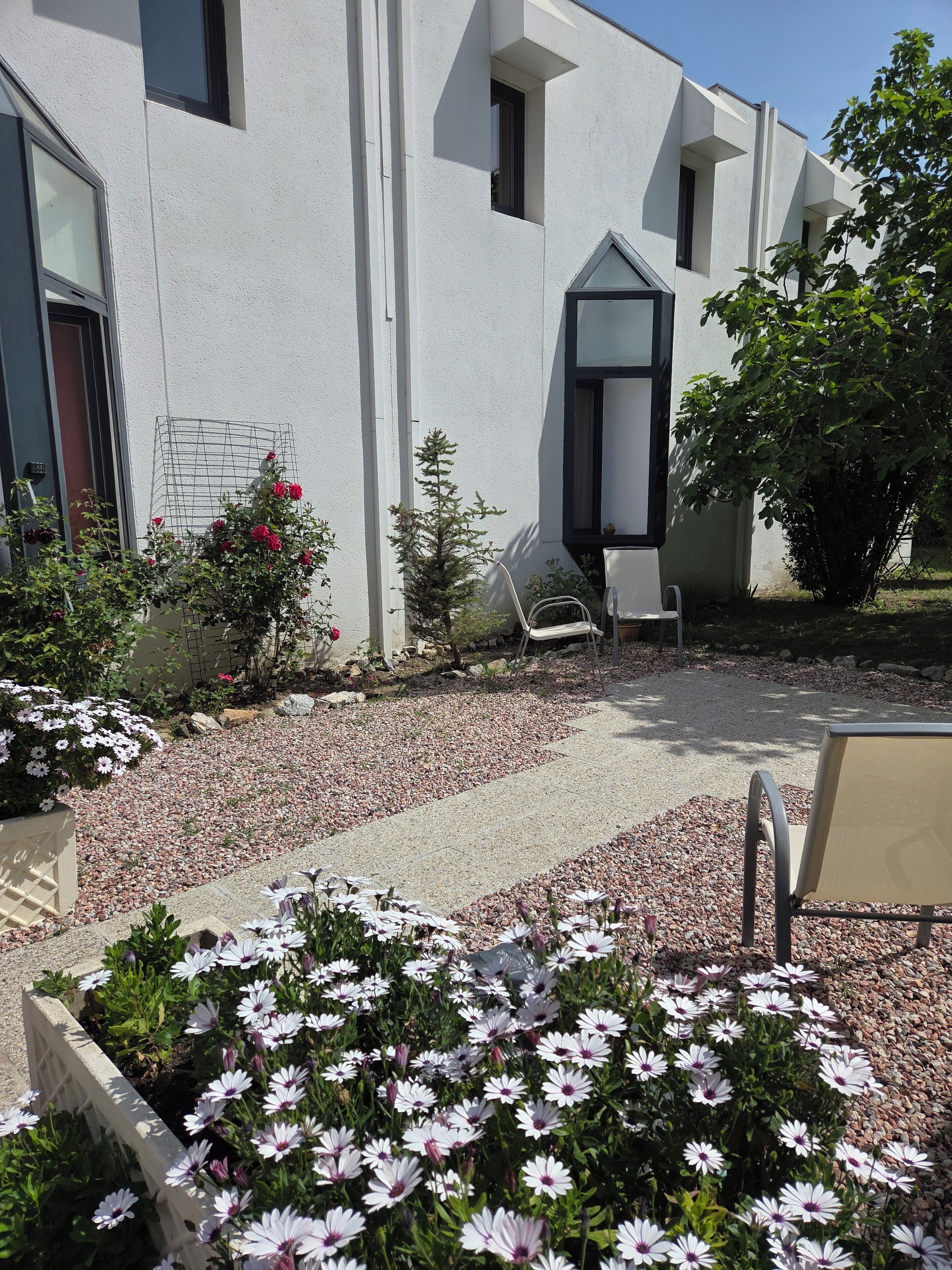 Un bâtiment moderne à l’extérieur blanc, avec un chemin de gravier et un jardin agrémenté de fleurs blanches et roses.