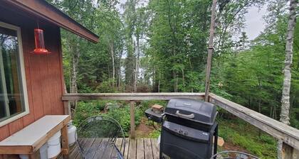 Elbow Lake Cook, MN. Boat to private cabin retreat !!