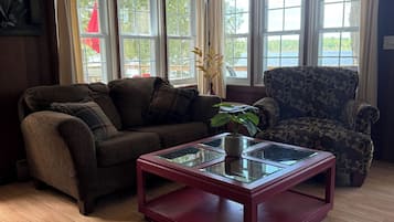 Smart TV, fireplace, books