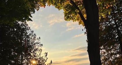 Relaxing cottage along the Trent Severn waterway! Pet-friendly, wifi, amentities