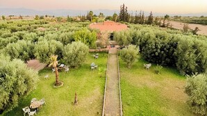 Jardí amb un camí central, envoltat de vegetació i mobiliari exterior.