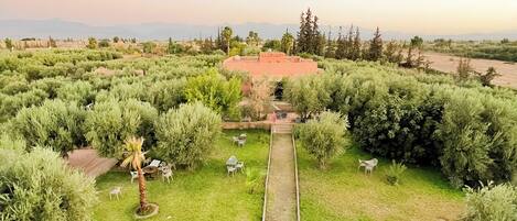 Un jardin avec un chemin central, entouré de verdure et de mobilier d’extérieur.