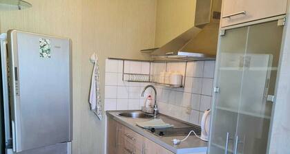 Apartment at Ronue avenue