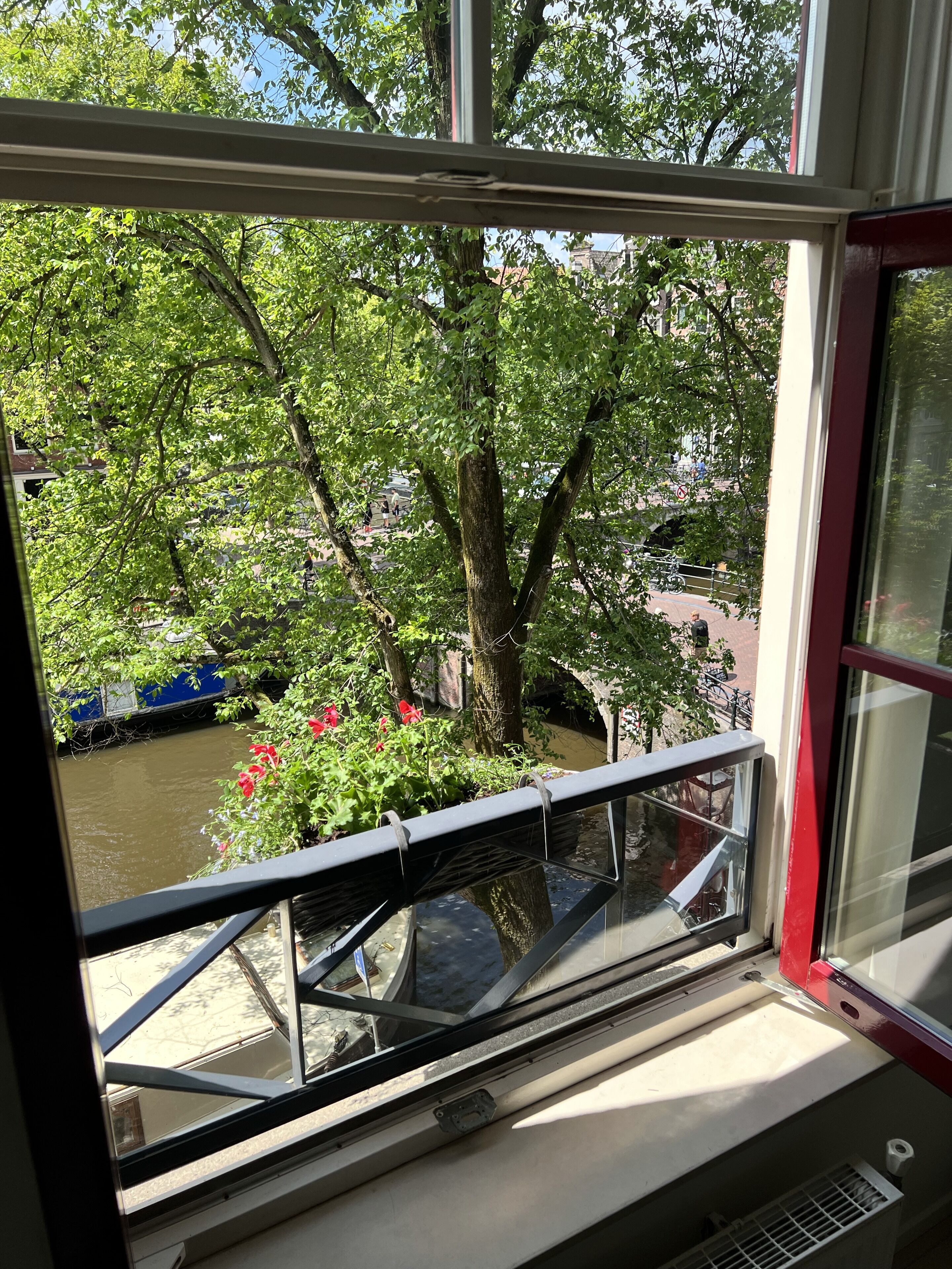 A view from a window with a metal railing, overlooking a river with a tree and red flowers in the foreground, and a blue boat on the water.