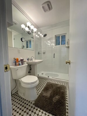 Douche, sèche-cheveux, serviettes fournies, savon