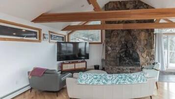 TV, fireplace, books