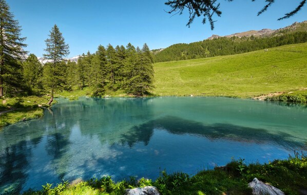 A serene lake surrounded by lush greenery and trees, with a clear blue sky above.