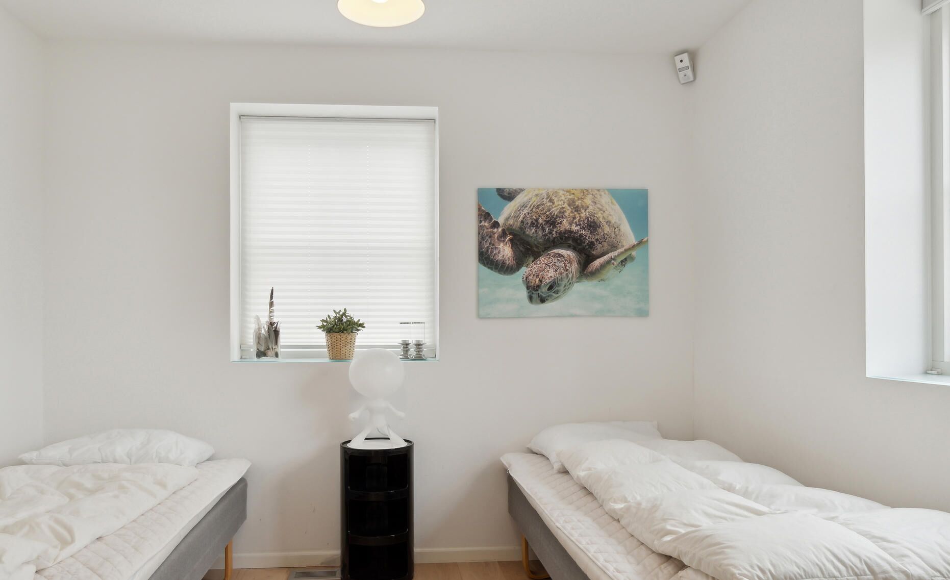 A bedroom with two single beds, a window with blinds, a wall-mounted picture of a sea turtle, and a small potted plant on the windowsill.