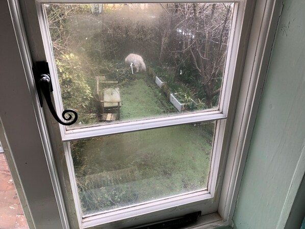 Interior - Double Room in Character Cottage - With Parking (Beaulieu)