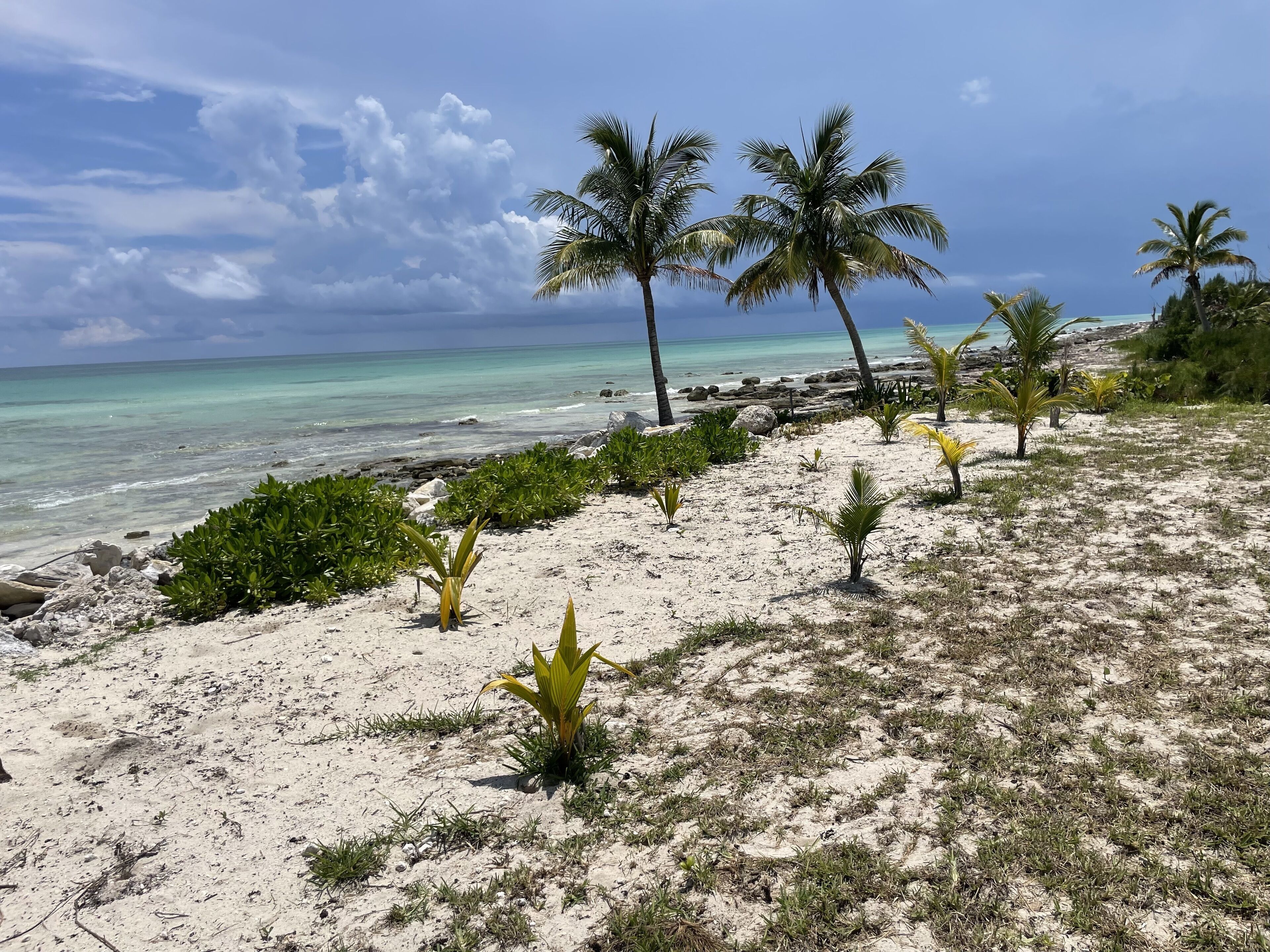 Plage, serviettes de plage