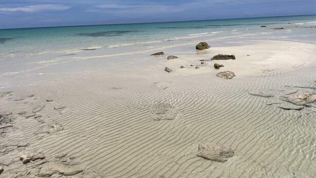 Una playa arenosa con agua turquesa transparente y rocas dispersas.