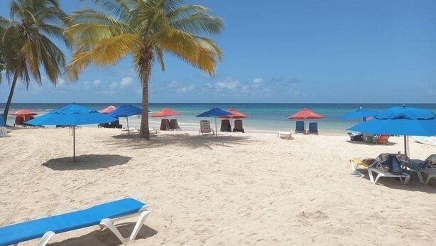 Una spiaggia con palme, ombrelloni blu e rossi e sdraie.