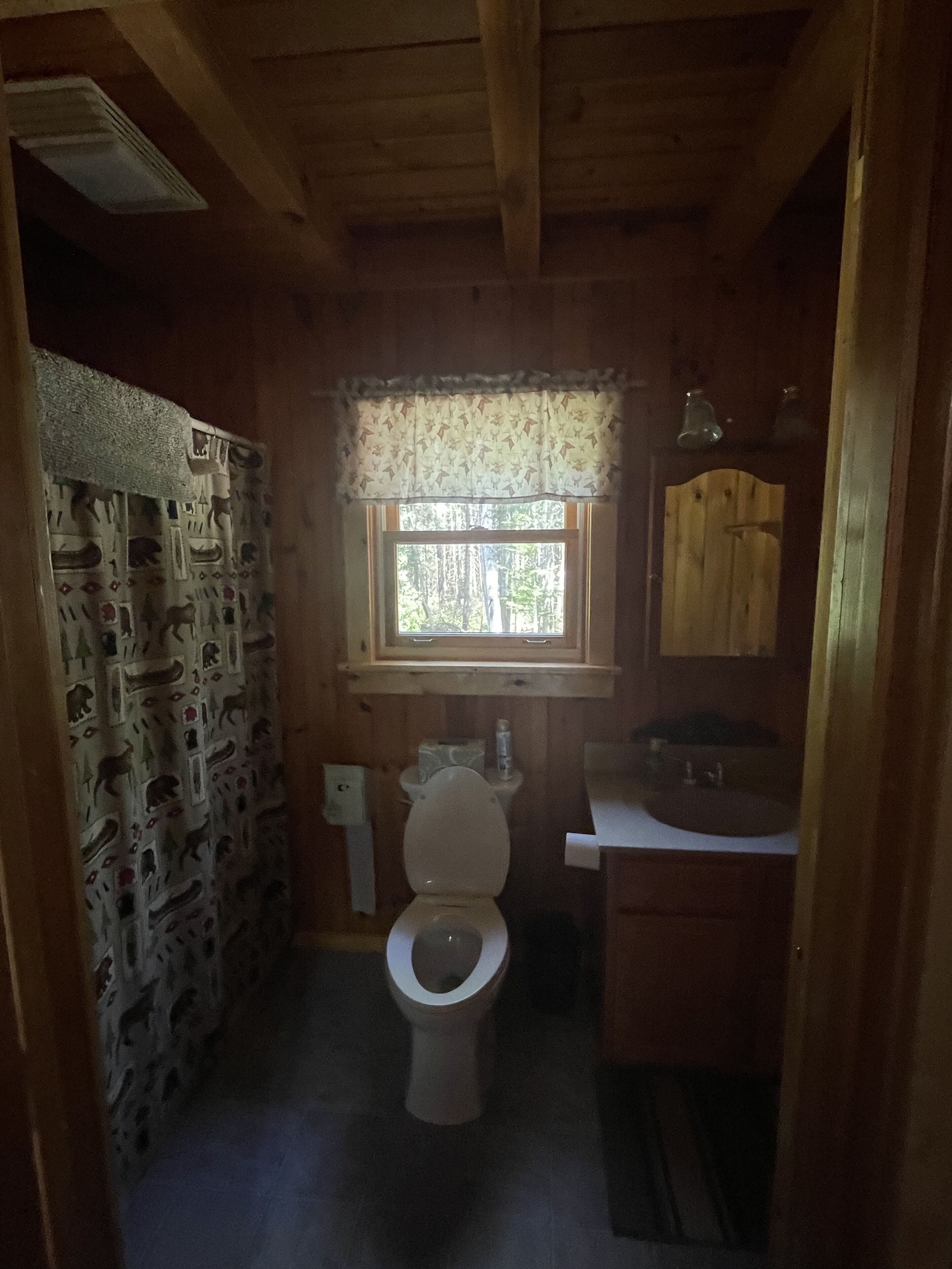 Un baño rústico con tocador, inodoro y ventana.