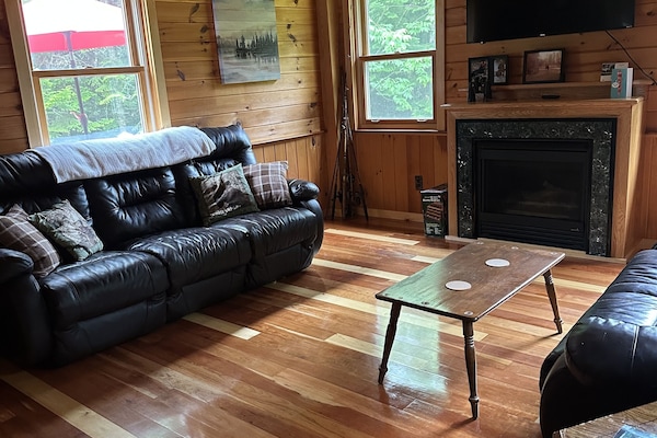 Smart TV, lareira, livros