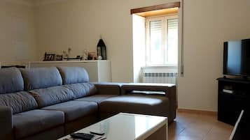 Televisor, llar de foc, llibres i impressores