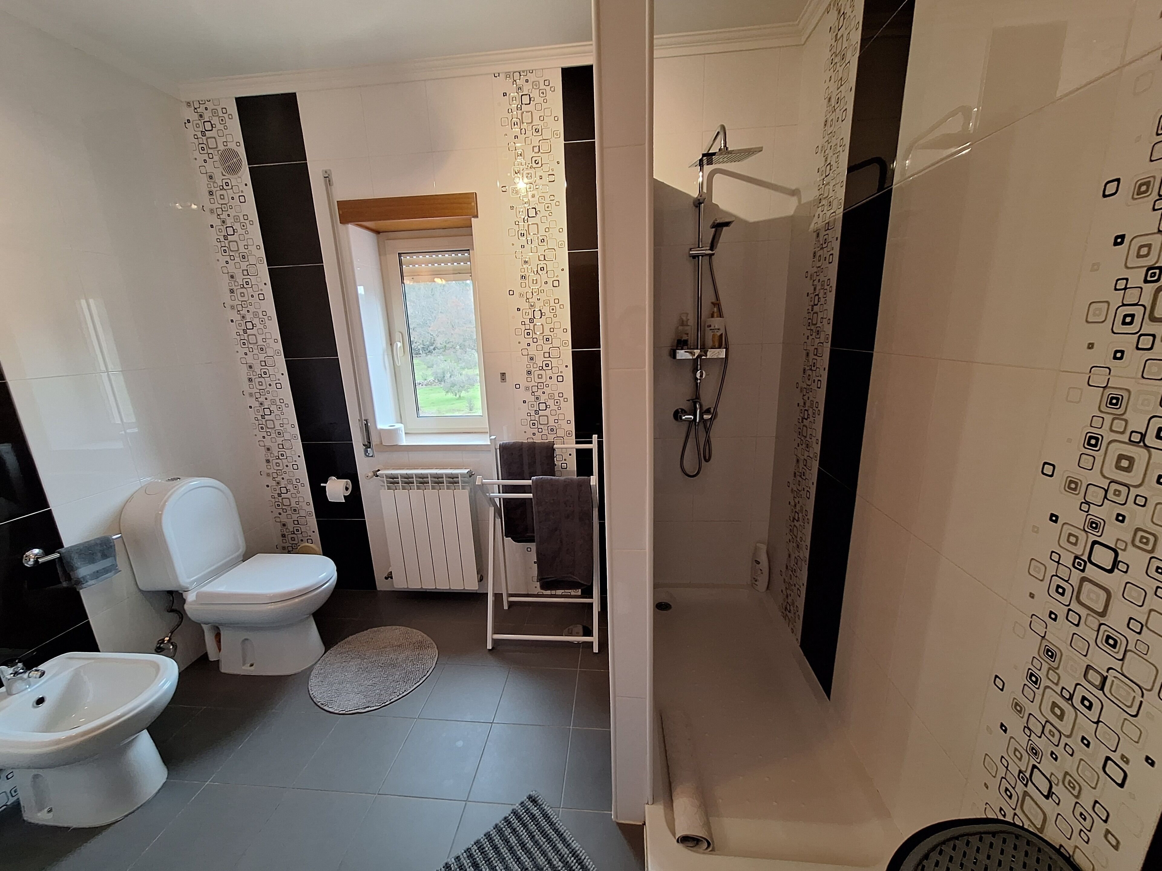 Shower, hair dryer, bidet, towels