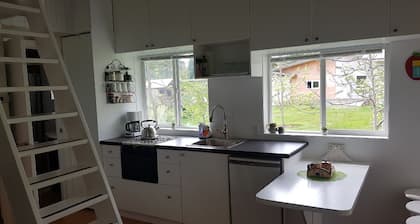 Cozy Cabin, 2 min to the HWY1, 5 minutes to the Shuswap lake