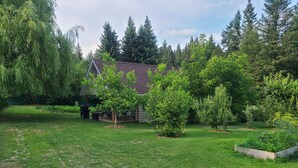 A house with a sloped roof, surrounded by a well-maintained lawn and various trees.