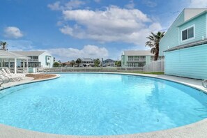 Relax by the pool surrounded by lounge chairs and palm trees.