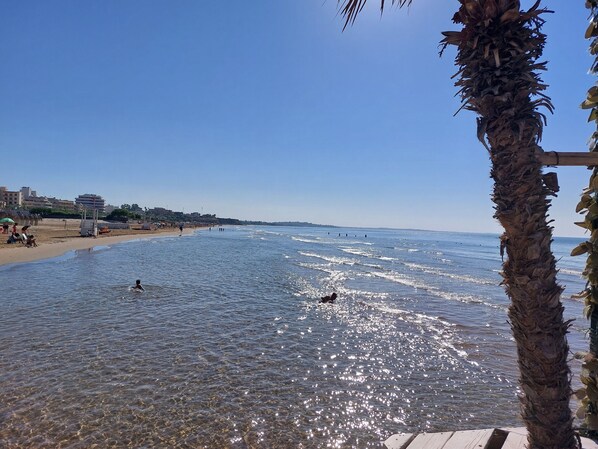 Serviettes de plage