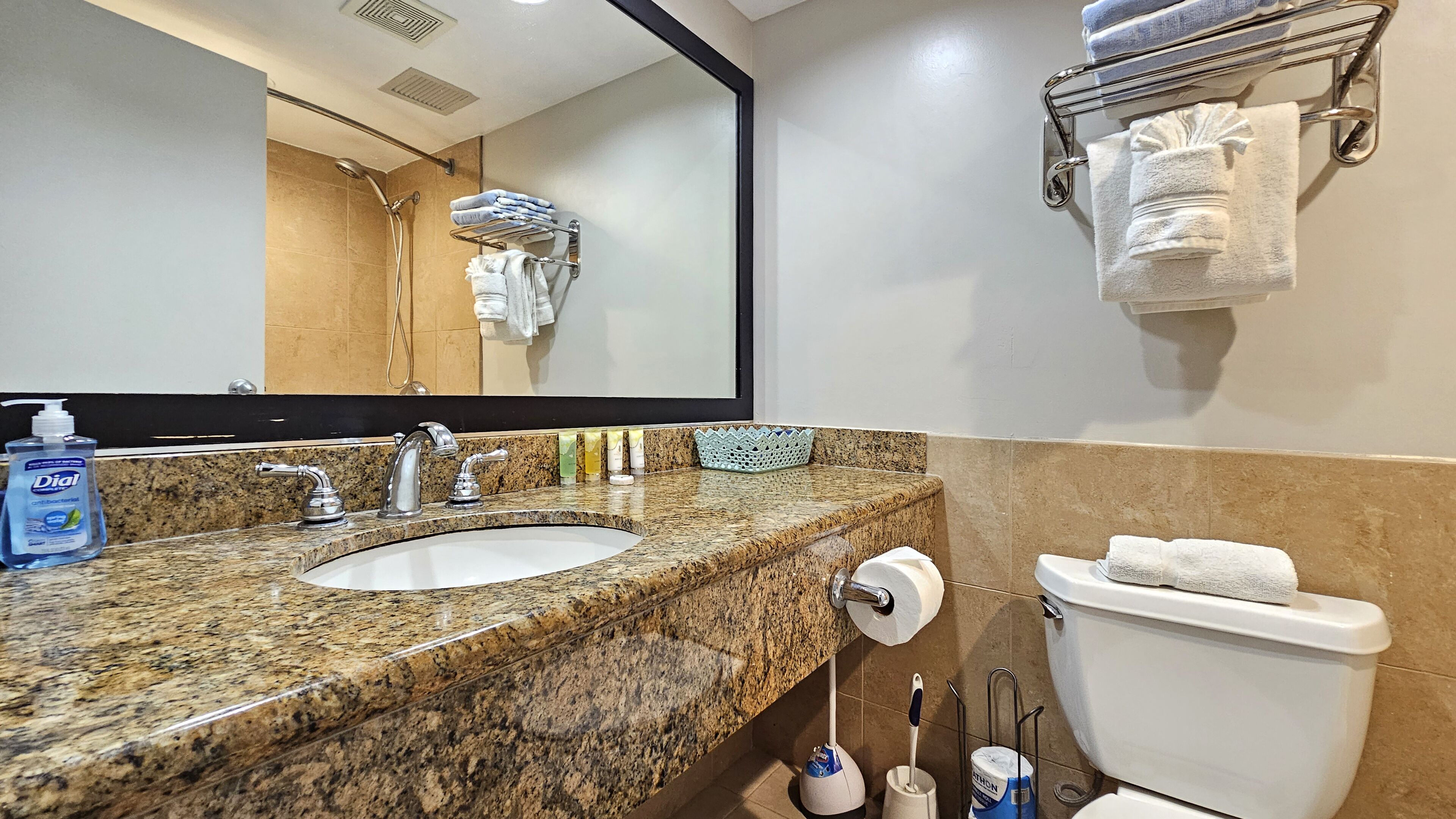 Hair dryer, towels, soap, shampoo